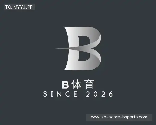 介绍B体育